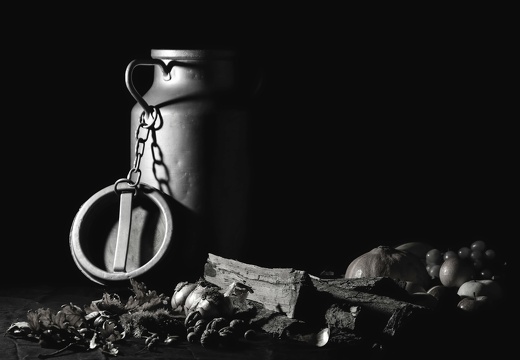 Nature morte d automne NB