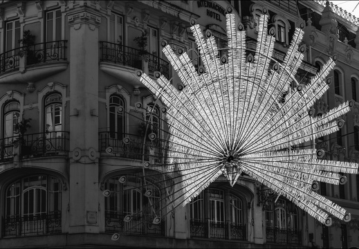 Plume d argent