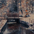 Pont