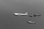 Escorte 1