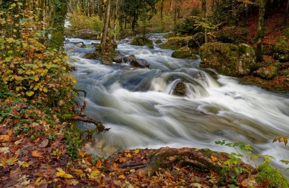 Rivière