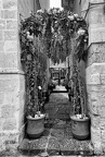 ruelle