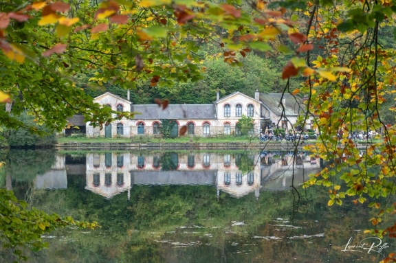 Reflet