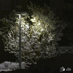 Jour de neige expo 2025