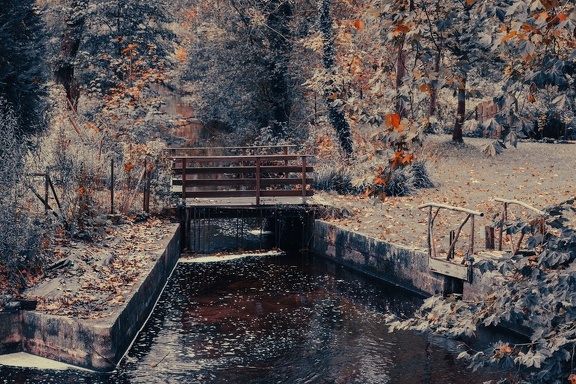 Pont