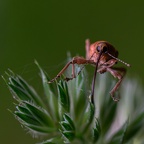 Ca trompe énormément