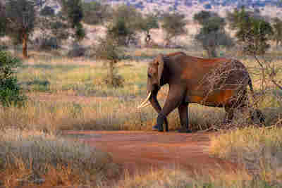 Chemin du Sage resultat