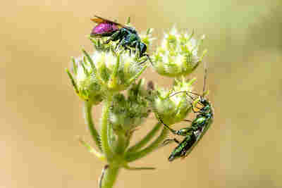 Rencontre colorée resultat